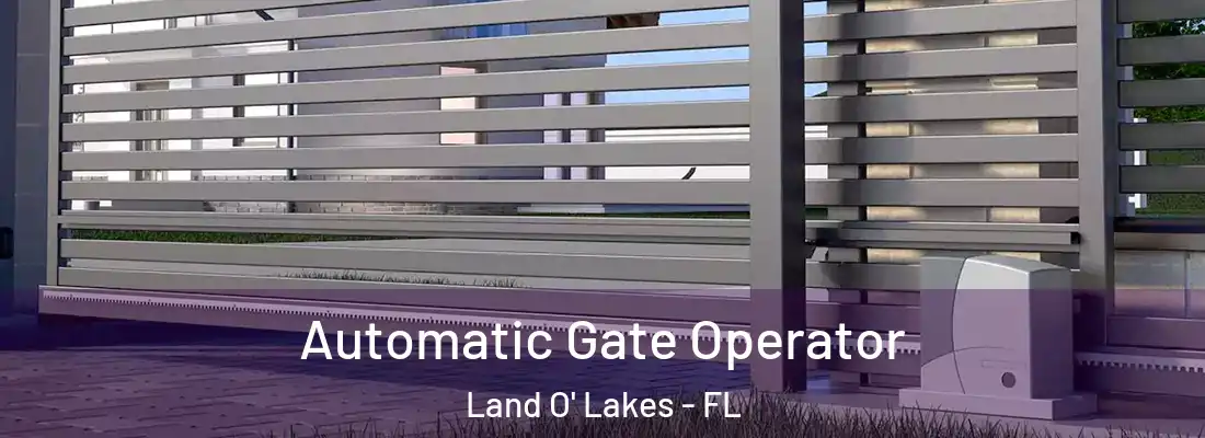  Automatic Gate Operator Land O' Lakes - FL