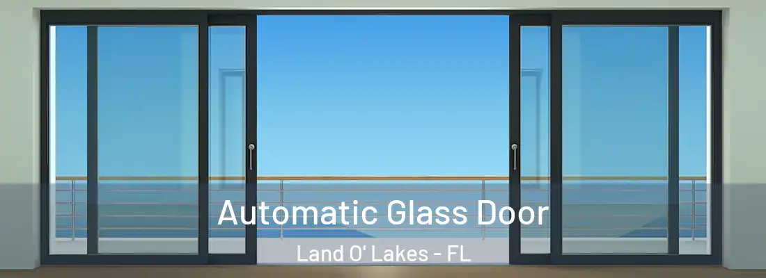  Automatic Glass Door Land O' Lakes - FL