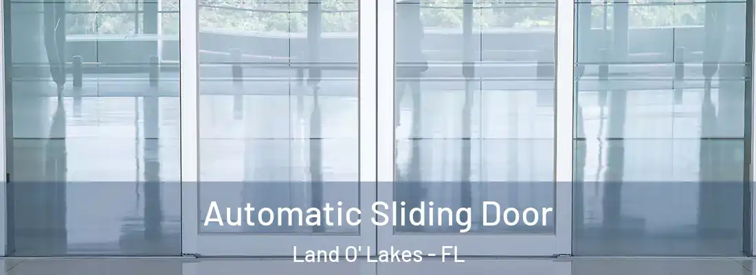 Automatic Sliding Door Land O' Lakes - FL