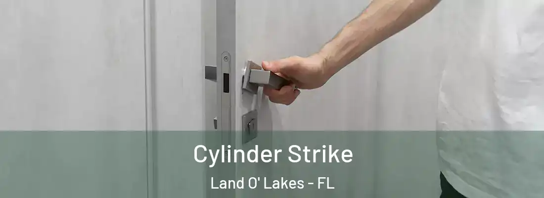  Cylinder Strike Land O' Lakes - FL