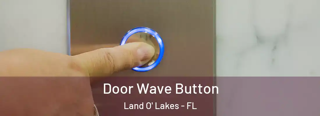  Door Wave Button Land O' Lakes - FL