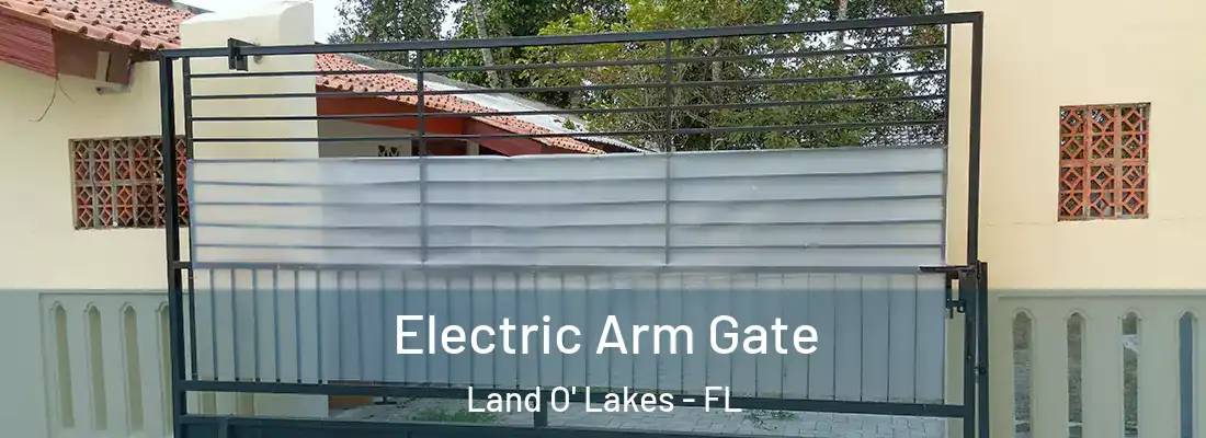  Electric Arm Gate Land O' Lakes - FL