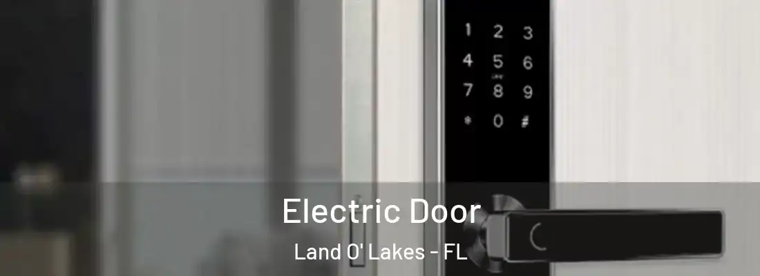  Electric Door Land O' Lakes - FL