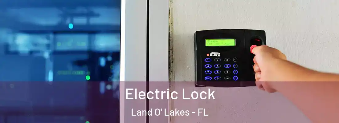  Electric Lock Land O' Lakes - FL