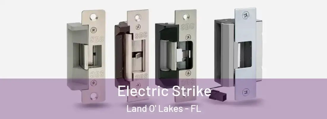  Electric Strike Land O' Lakes - FL