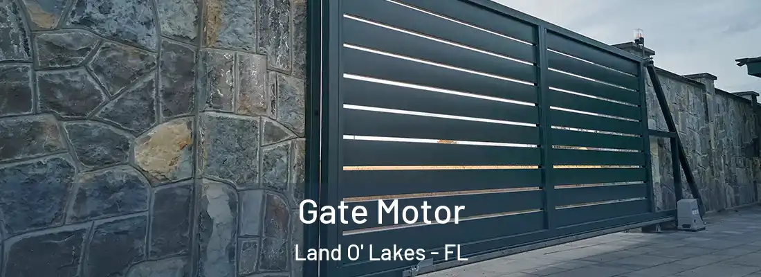  Gate Motor Land O' Lakes - FL