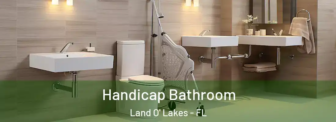  Handicap Bathroom Land O' Lakes - FL