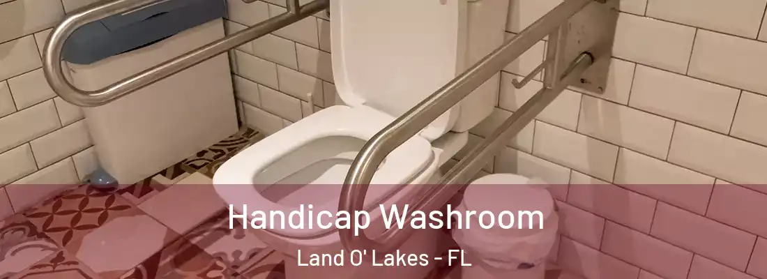  Handicap Washroom Land O' Lakes - FL