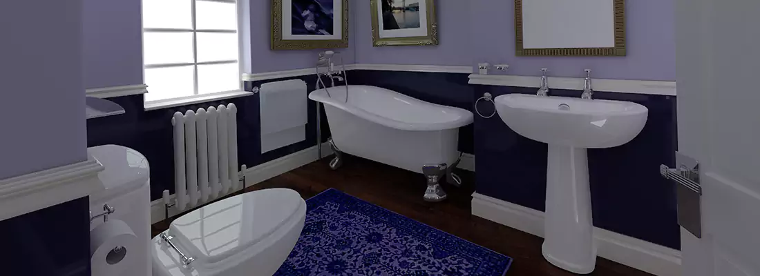 Emergency Washroom Call System Installation in Land O' Lakes, FL