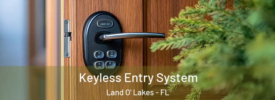  Keyless Entry System Land O' Lakes - FL