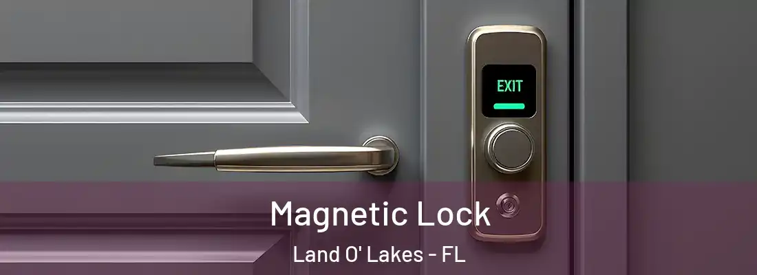  Magnetic Lock Land O' Lakes - FL