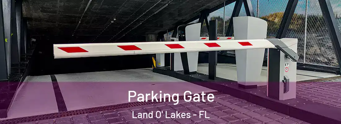  Parking Gate Land O' Lakes - FL