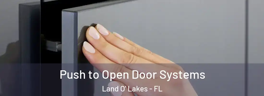  Push to Open Door Systems Land O' Lakes - FL